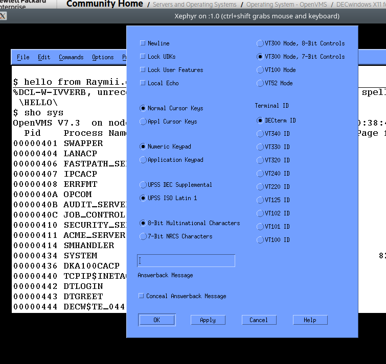 decterm options